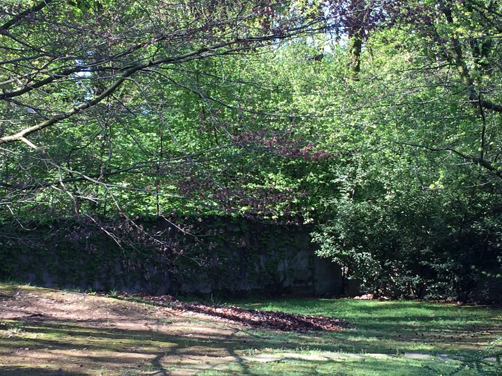 Bed&Garden Bed and Breakfast Cesate Buitenkant foto