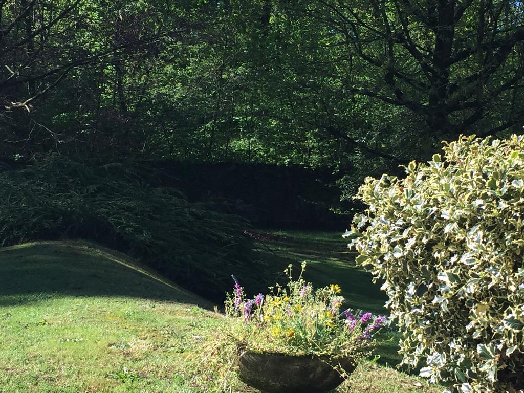 Bed&Garden Bed and Breakfast Cesate Buitenkant foto