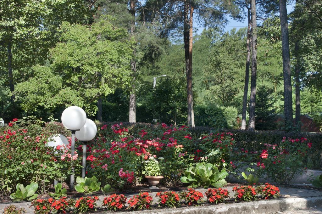 Bed&Garden Bed and Breakfast Cesate Buitenkant foto
